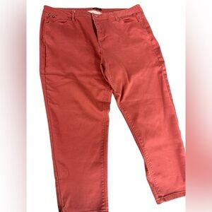 Curve Appeal Rust Skinny Pants Size 20W Plus Stretch